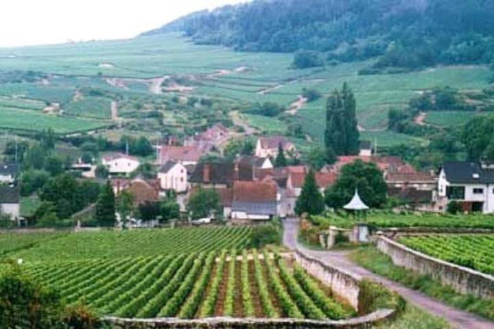 Location de vacances pour 3 personnes, avec terrasse et vue à Auxey-Duresses - 3