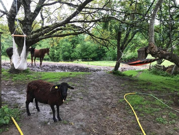 Gîte pour 5 personnes, avec vue et jardin, animaux acceptés à Tourtouse - 3
