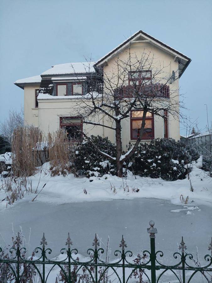 Ferienwohnung für 4 Personen, mit Balkon, mit Haustier in Grünendeich - 3