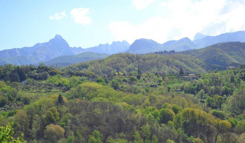 Residence per 5 persone, con giardino e piscina nonché panorama, con animali domestici in Fosdinovo