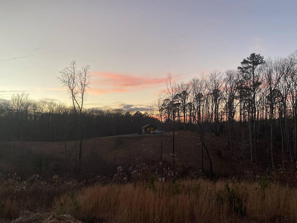 Cub Cabin has Star Gazing for Outdoor Lovers. No Pets Allowed in Lake Ouachita