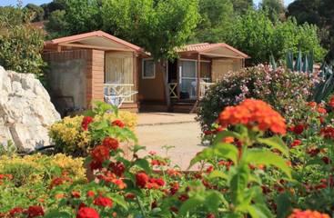 Static Caravan for 5 People in Calella, Maresme, Photo 2
