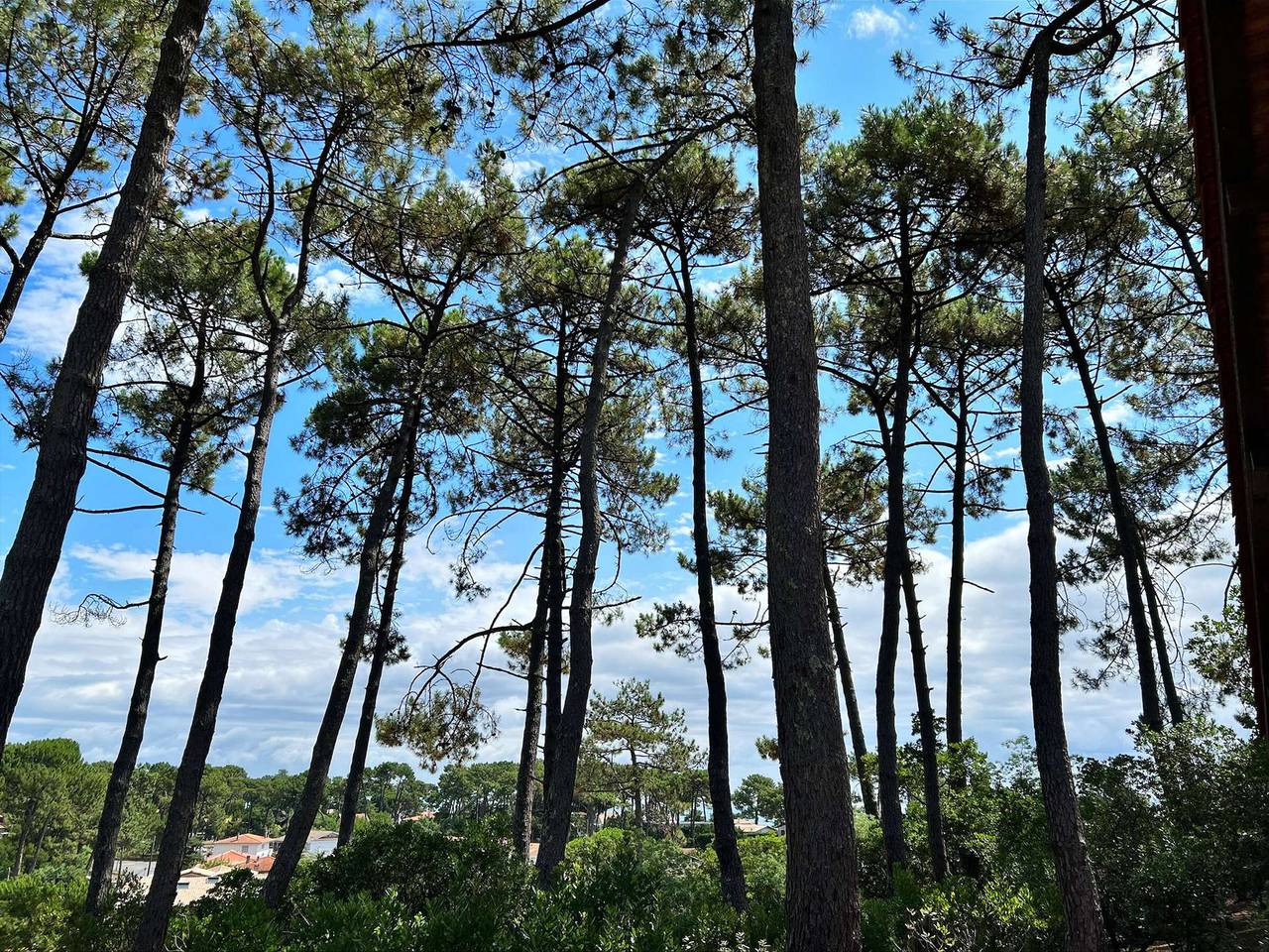 Villa en Lège-Cap-Ferret, 4 hab., 8 pers., jardín cerrado, mascotas permitidas in Le Canon, Lège-Cap-Ferret