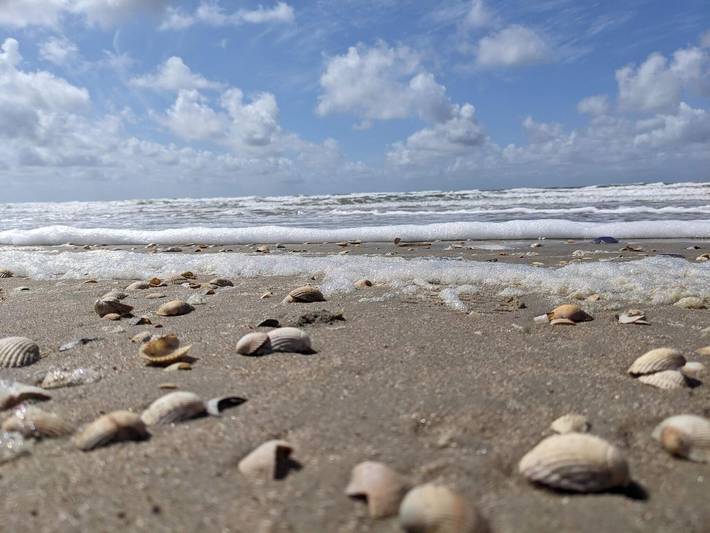 Ferienhaus für 16 Personen, mit Pool und Sauna in Biikebrennen - 3