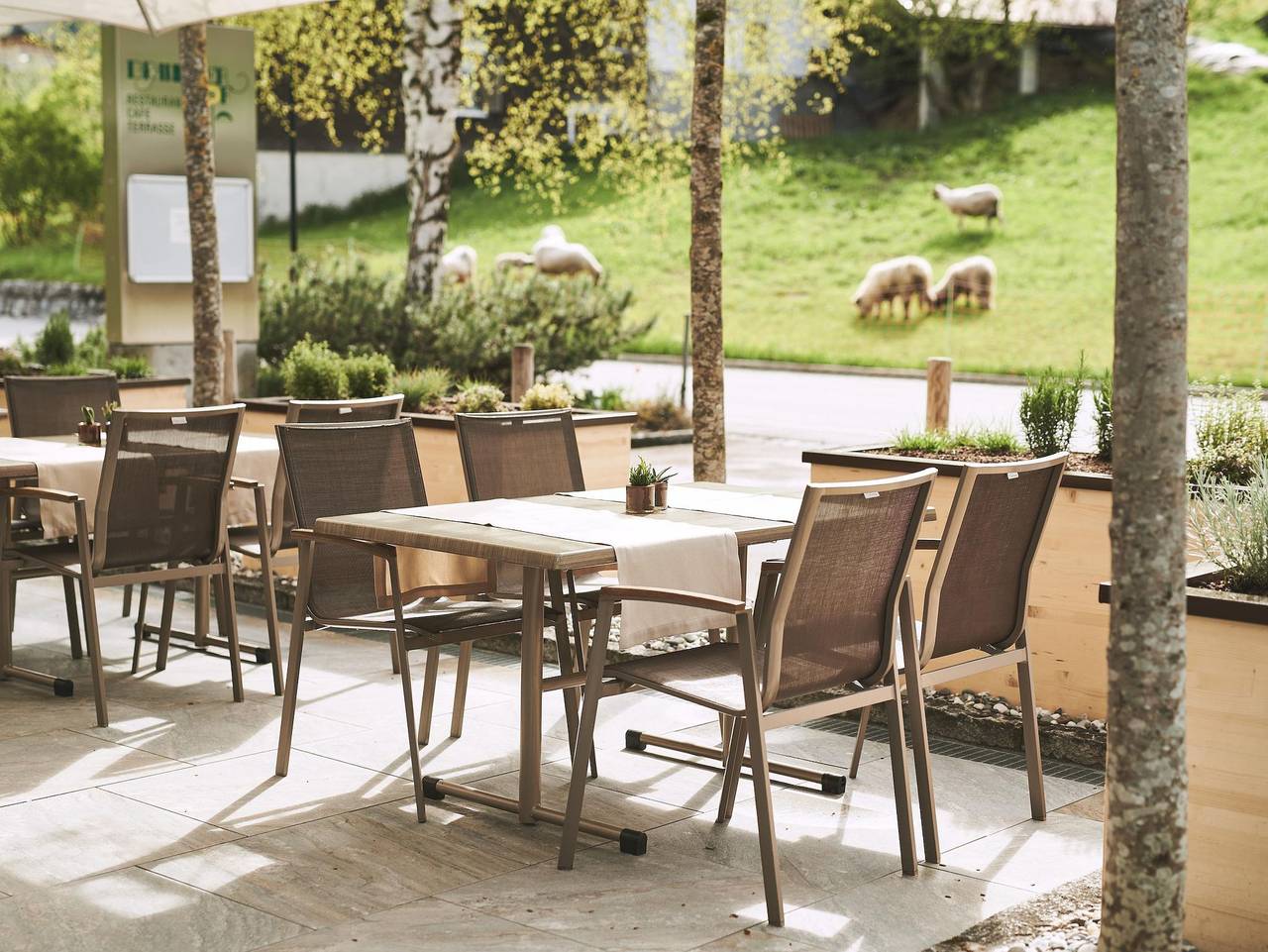 Ganze Ferienwohnung, Brandnerhof - Valbona in Rätikon Gebirgsgruppe, Brand