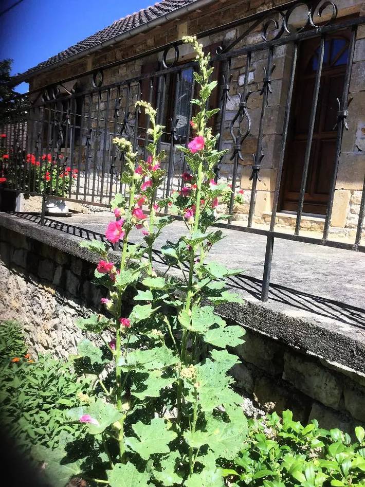 Gîte pour 4 personnes, avec terrasse dans Village de Collonges la Rouge - 3