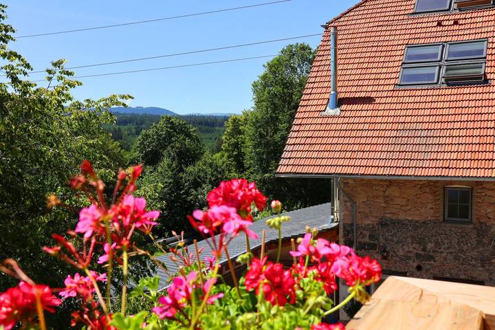 Ferienwohnung für 2 Personen, mit Terrasse und Garten in Löffingen - 2