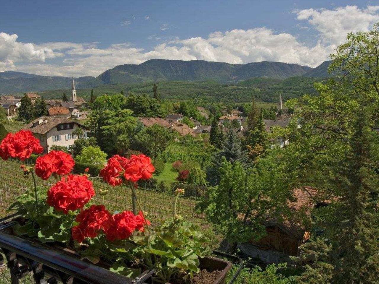 Micheli Hermann - Südzimmer, 30 qm - Familienzimmer in Kalterer See, Kaltern an der Weinstraße