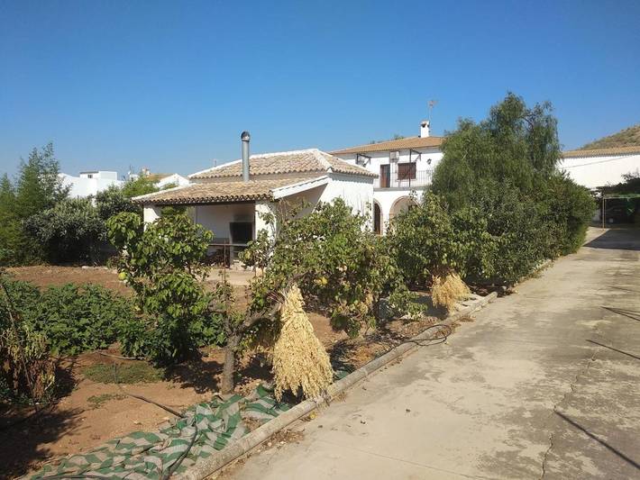 Chalet para 12 personas, con piscina además de jardín y vistas en Sierra Sur de Sevilla - 3