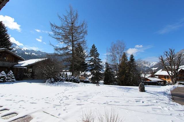 Gîte pour 9 personnes, avec jardin, adapté aux familles à Château-d' Œx - 2