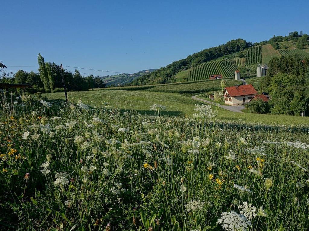Presse "Der Ofenmacherhof" in Großklein, Lavanttaler Alpen