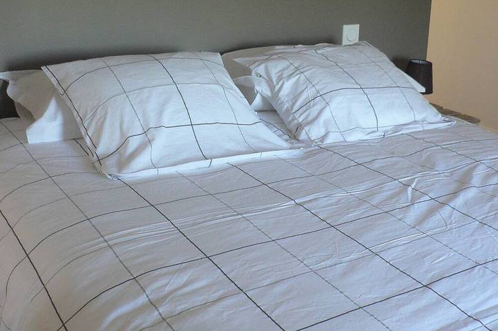 Location de vacances pour 20 personnes, avec jardin et jacuzzi, animaux acceptés à Les Herbiers - 3