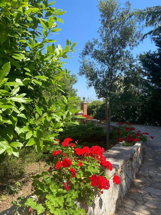 Villa Marzano in Alberobello, Comune di Alberobello