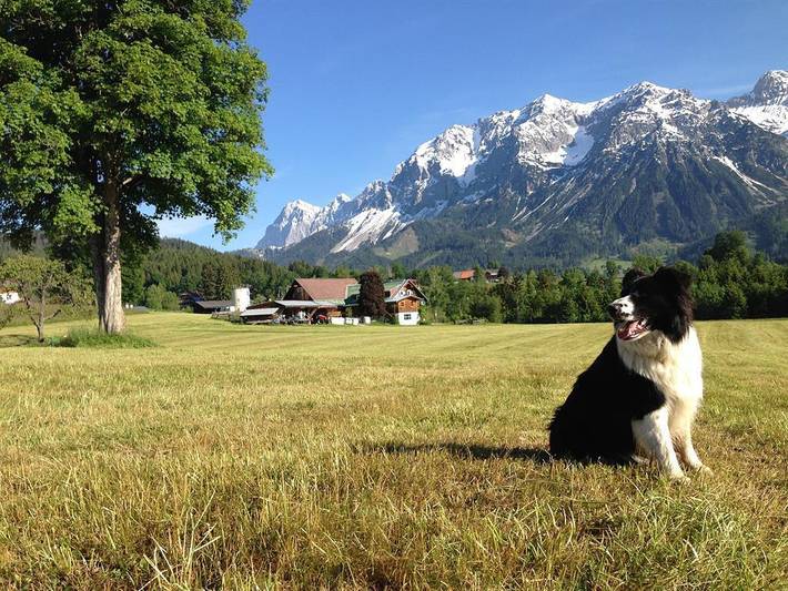 Bauernhaus für 6 Personen, mit Garten und Balkon in Ramsau am Dachstein - 3