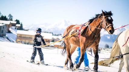 Gîte pour 6 personnes, avec terrasse et piscine à Saint-Bonnet-en-Champsaur