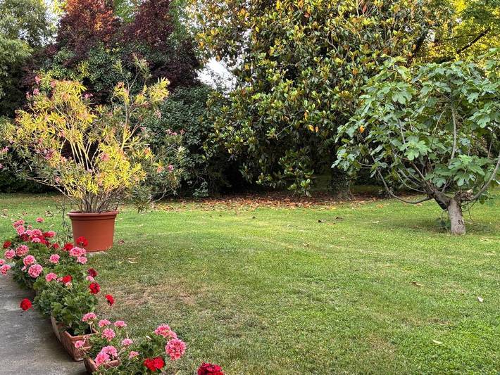 Chambre d’hôte pour 2 personnes, avec vue et jardin à Parme - 3
