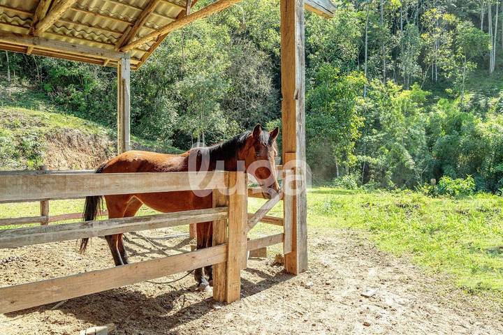 Hôtel pour 5 personnes, avec jardin et balcon