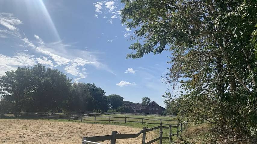 Ferienhaus für 4 Personen, mit Terrasse, mit Haustier in Geestland - 3