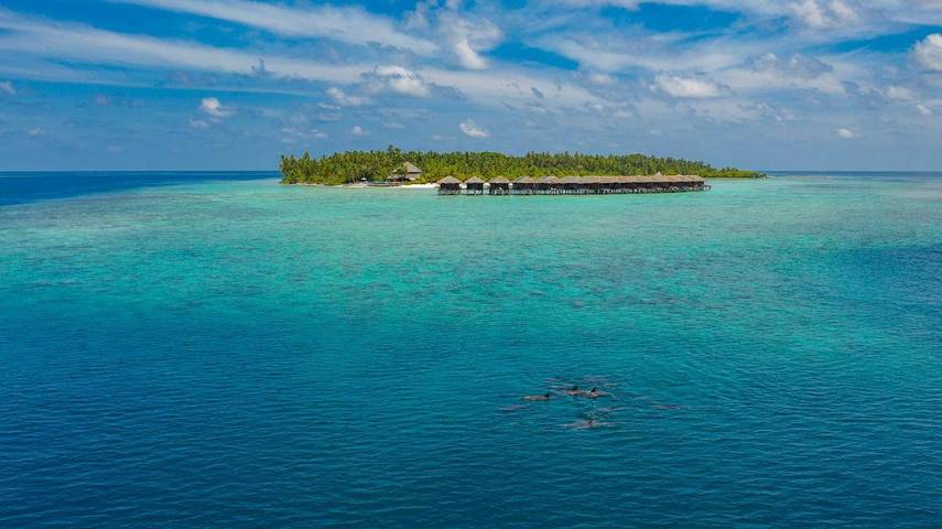 Station pour 2 personnes, avec terrasse ainsi que vue et piscine dans Maldives - 2