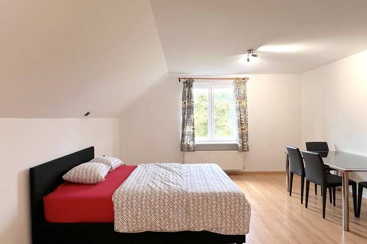 Location de vacances pour 12 personnes, avec jardin et terrasse à Zingem - 4