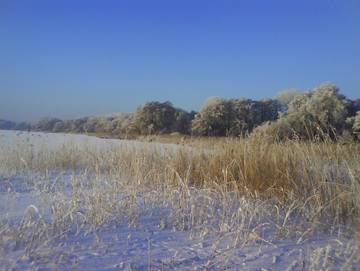 Ferienwohnung für 4 Personen in Zwischenahner Meer, Bad Zwischenahn, Bild 4