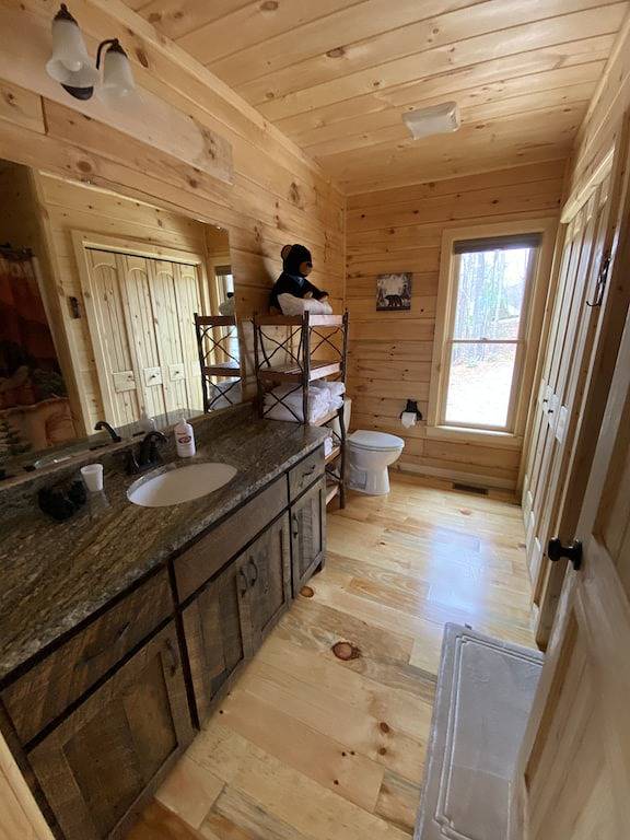 Dog friendly, 2/2 w/kings, Mtn view! Fire pit, Wifi, gas logs. Cherry Log Mtn !! in Cherry Log, Chattahoochee National Forest