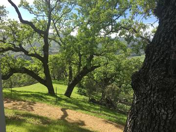 Vacation Rental for 2 Guests in Atascadero, San Luis Obispo County, Picture 3