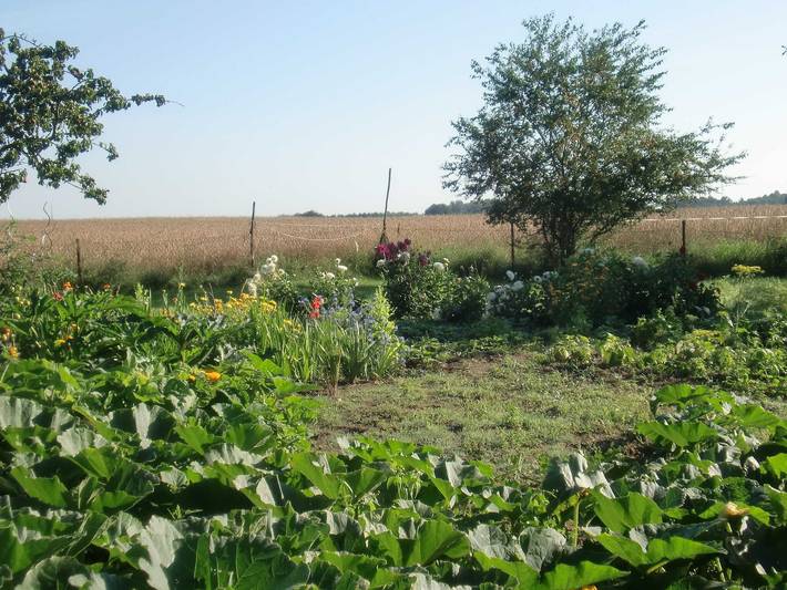 Ferienwohnung für 2 Personen, mit Garten im Stettiner Haff - 2