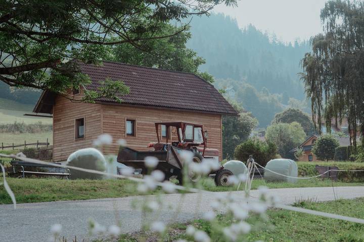 Bauernhof für 5 Personen, mit Garten in Kärnten - 3