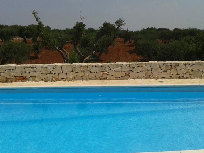 Location de vacances pour 4 personnes, avec piscine et jardin, animaux acceptés à Locorotondo - 3