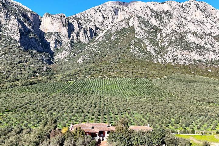 Ferienhaus für 8 Personen in Siniscola