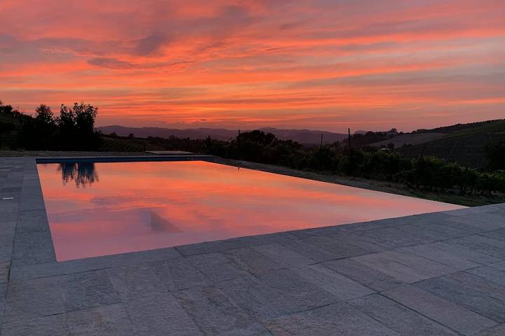 Villa com vinhedos, piscina infinita, vista para o castelo da Unesco e os Alpes. in Castagnole delle Lanze, Langhe
