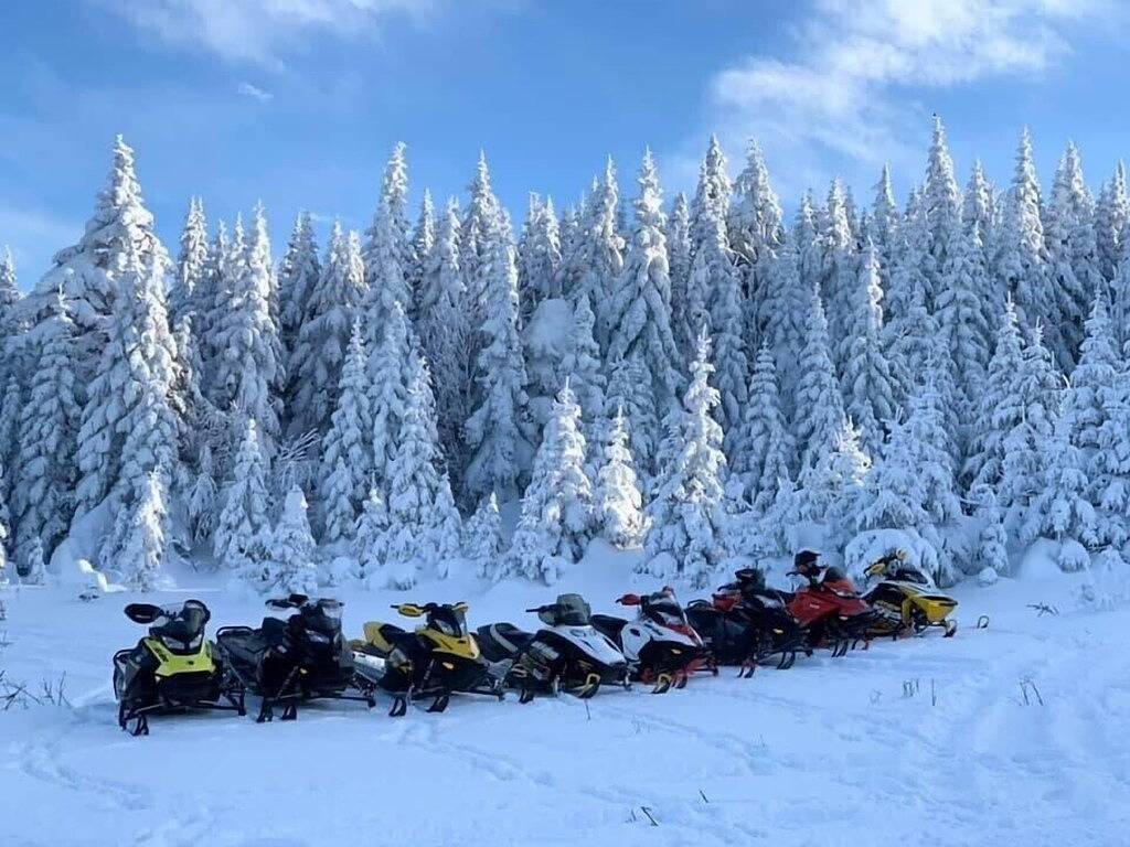 Grouse Landing on Back Lake in Pittsburg (NH), Coös County