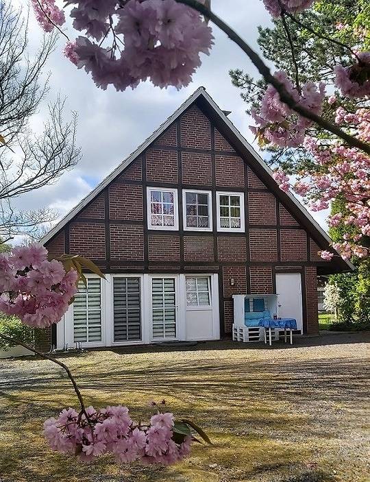 Ganze Ferienwohnung, Appartement Jork Altes Land bei Hamburg direkt an der Elbe in Jork, Altes Land Stade