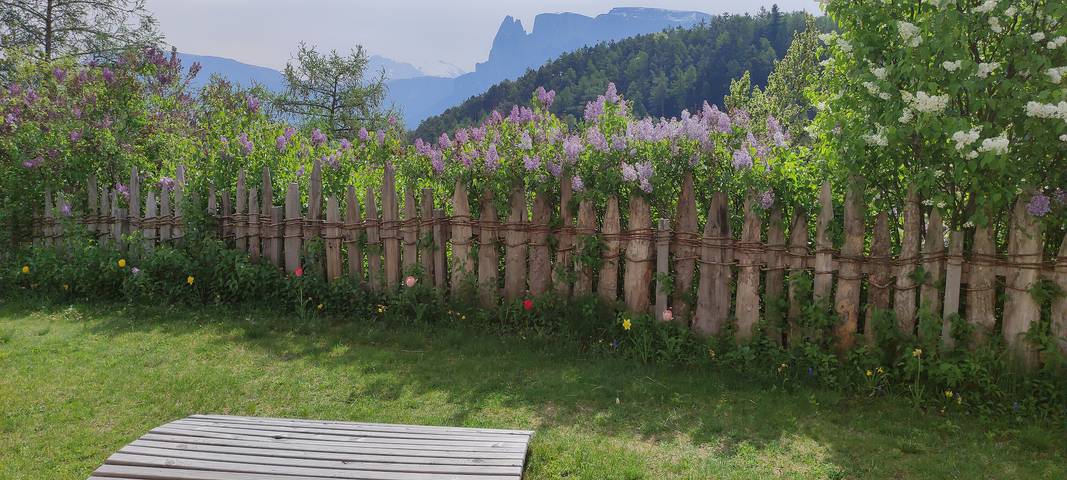 Ferienwohnung für 3 Personen, mit Garten - 1