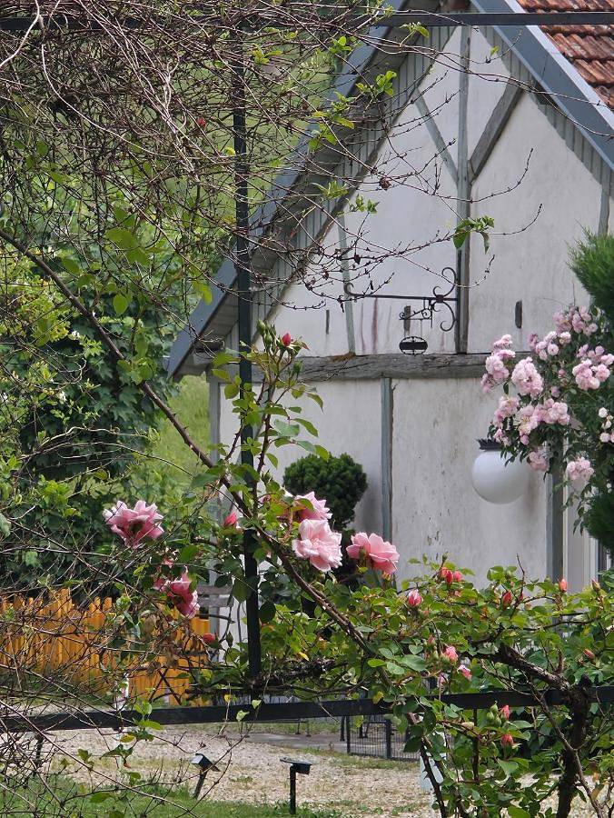 Chambre d’hôte pour 2 personnes, avec terrasse ainsi que vue et jardin