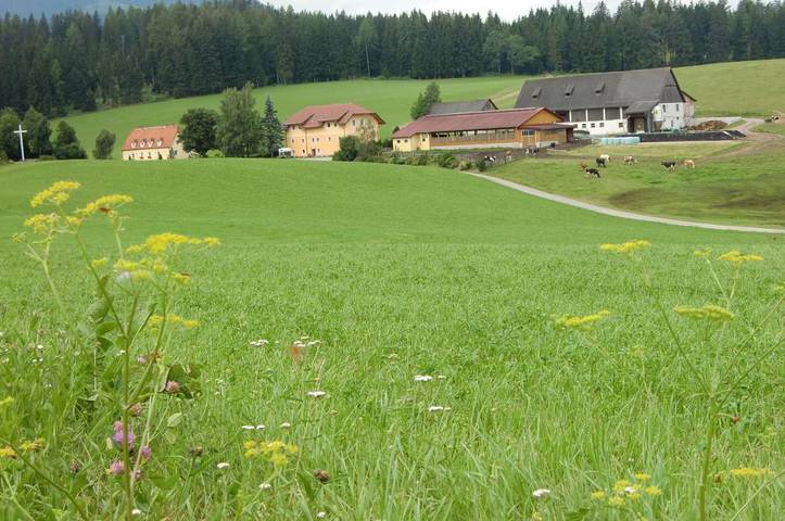 Ferienhaus für 10 Personen, mit Garten und Pool sowie Ausblick