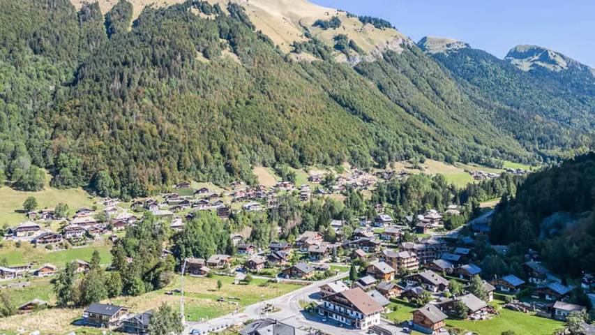 Chalet pour 11 personnes, avec sauna et terrasse, animaux acceptés à Montriond - 4