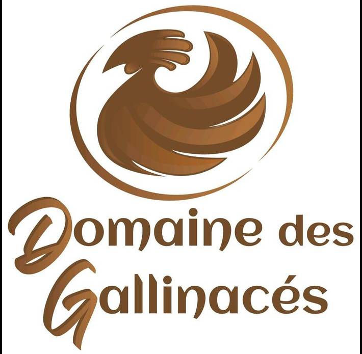 Gîte pour 4 personnes, avec terrasse et vue, animaux acceptés à Marigny-lès-Reullée - 2