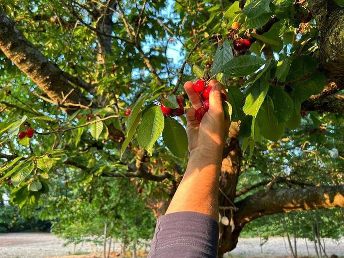 Location de vacances pour 4 personnes, avec terrasse et jardin à Berville-sur-Mer - 2