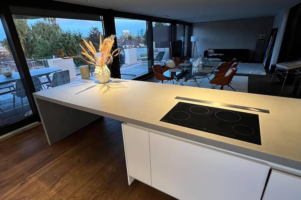 Entire apartment, Penthouse with whirlpool & huge terrace in Zurich, Zurich Prealps