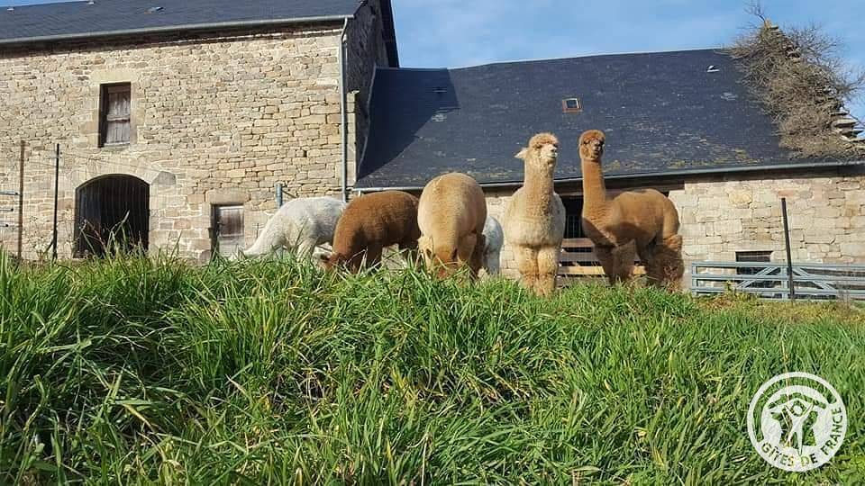 Casa vacanza a Corrèze a partire da 90€ a notte