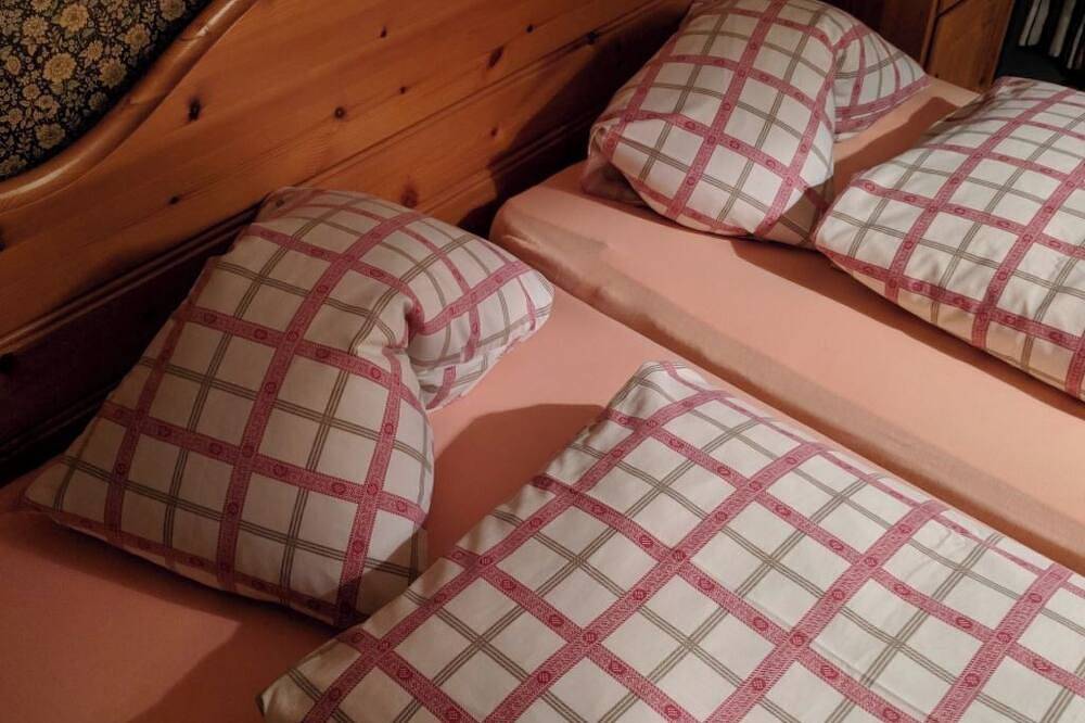 Ganze Wohnung, Disentiserhof Haus C 102, (Disentis/Mustér), 1038 in Disentis, Surselva