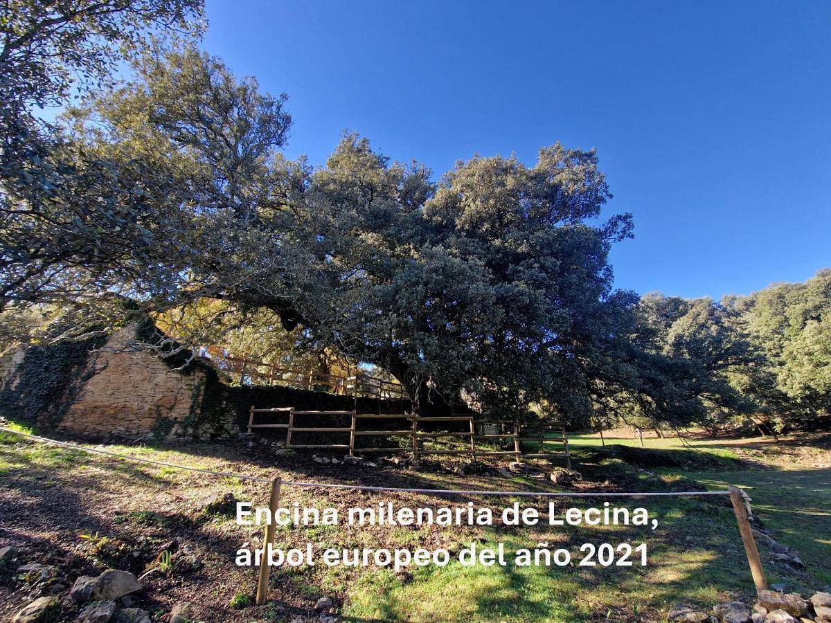 Casa Rural La Choca in Lecina, Bárcabo