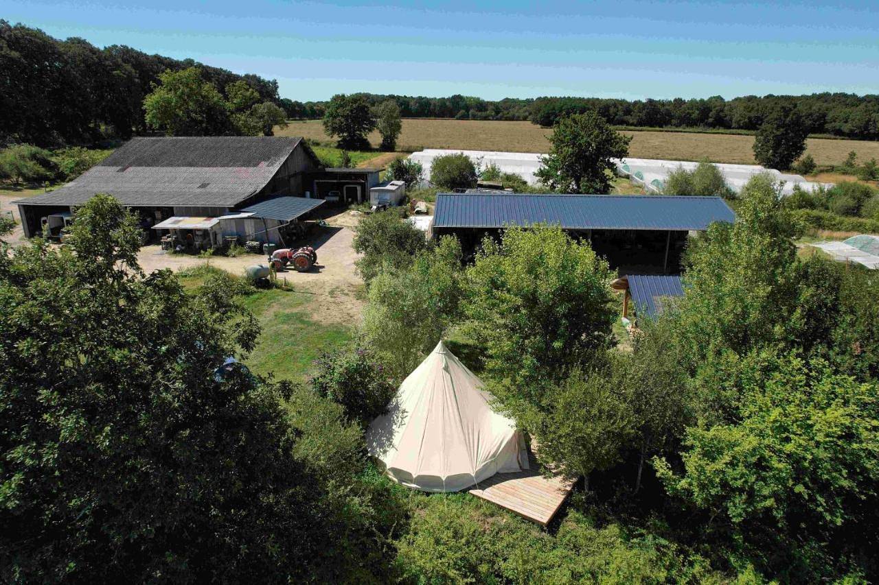 Le camping à la ferme des Rangs d'Oignons in Le Cellier, Vallée de la Loire