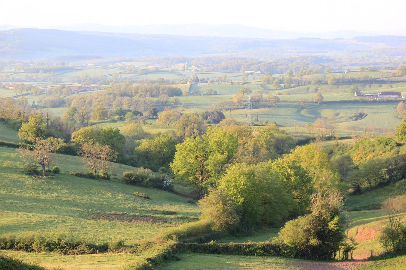 Domaine de Pondole in Saint-Marcelin-de-Cray, Charolles region