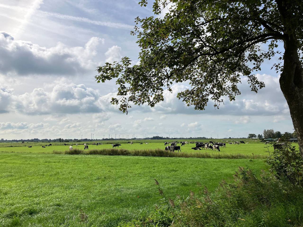 Ganze Ferienwohnung, Ferienwohnung Bruns - Ferienwohnung Bruns in Ihlow, Landkreis Aurich