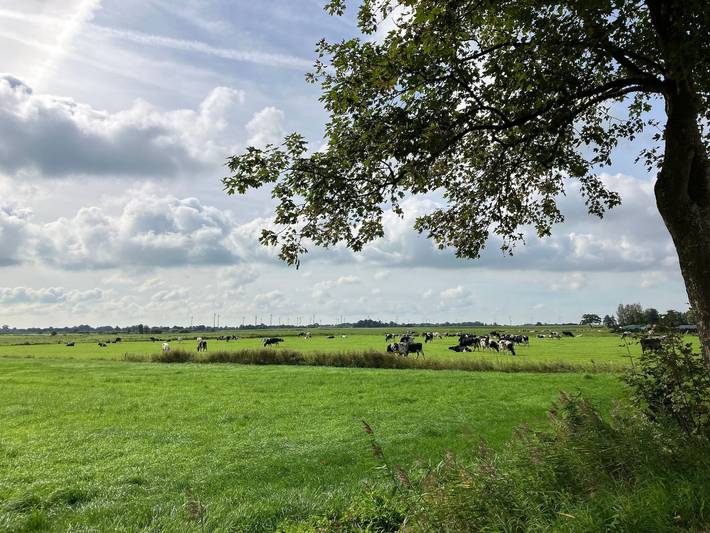 Ferienwohnung für 4 Personen, mit Sauna und Terrasse in Ihlow - 4