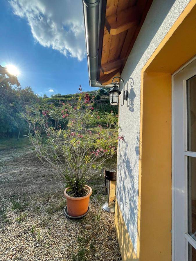 Ferienhaus für 8 Personen, mit Ausblick und Garten sowie Terrasse, mit Haustier in Saale-Unstrut - 2
