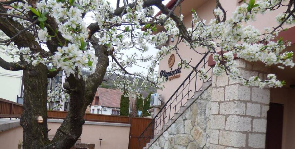Apartament wakacyjny dla 3 osób w Tokaj